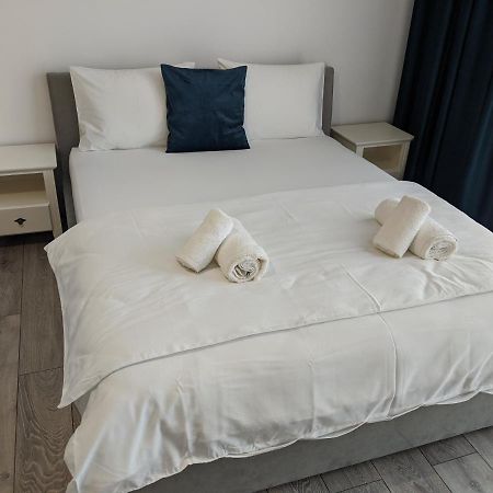 Alina'S Deluxe Apartment And Free Private Parking Dumbravita  Exterior photo