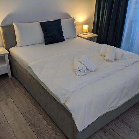 Alina'S Deluxe Apartment And Free Private Parking Dumbravita  Exterior photo