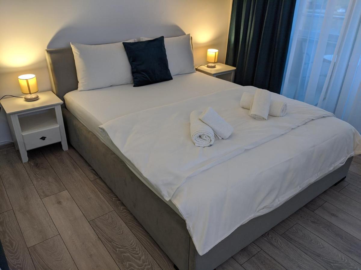 Alina'S Deluxe Apartment And Free Private Parking Dumbravita  Exterior photo